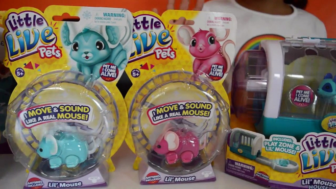 New Little Live Pets Lil' Mouse House Trail - 3 Pet Mice - Mouse House | Moose Toys