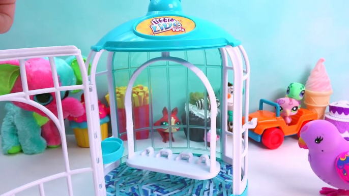 Talking Little Live Pets Beauty Bella Song Sining Love Birds Cage Playset  Cheeky Charlie Review