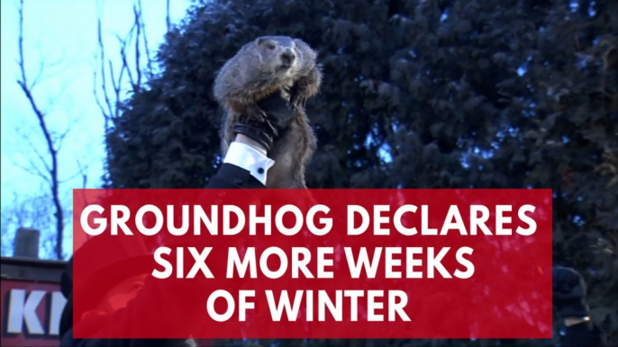 Groundhog declares six more weeks of Winter