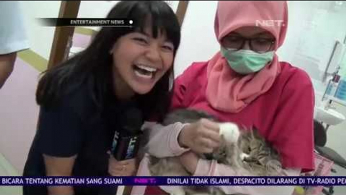 Kegiatan Amel Carla Memeriksakan Kucing Kesayangan ke Dokter Hewan