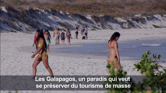 Les Galapagos, un paradis qui se protège du tourisme de masse