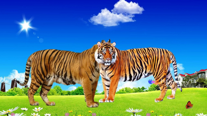 Learn Wild Animals Names | NEWBORN BABY ANIMALS | Learn Animals for Children