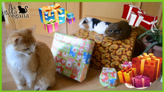 LOS ANIMALES ABRIENDO SUS REGALOS DE NAVIDAD | PARA GATOS Y COBAYAS | CUYS, CUYOS, GUIMOS, COBAYOS