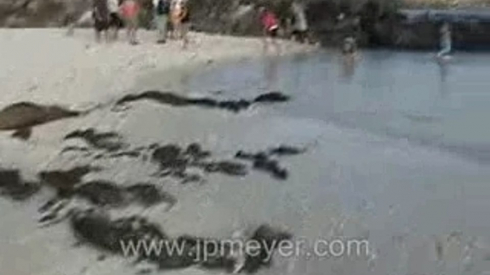 Galapagos Islands travel: More of that beautiful lagoon.