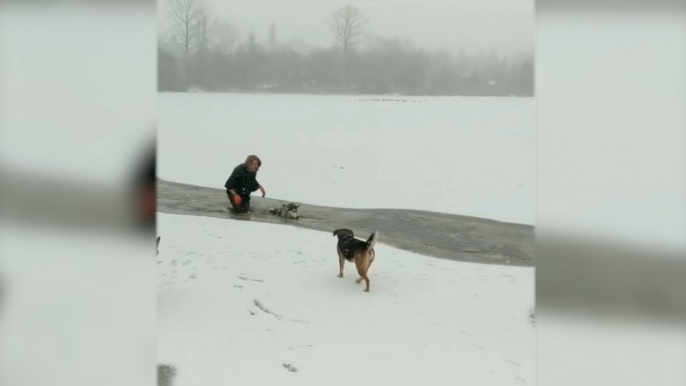 Woman wades through icy waters to rescue dog