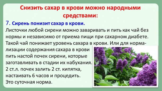 Как снизить сахар в крови народными средствами. Лечение сахарного диабета народными средствами