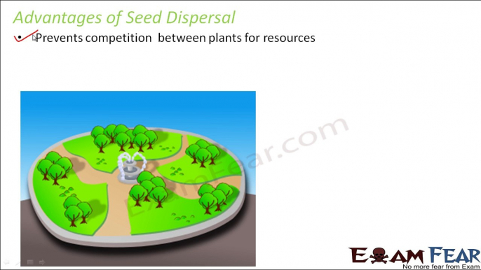 Biology Reproduction in Plants Part 18 (Seed Dispersal) Class 7 VII