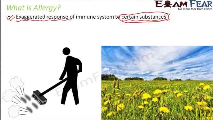 Biology Human Health & Diseases part 17 (Allergies) class 12 XII