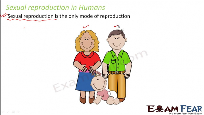 Biology Human Reproduction part 1 (Introduction) class 12 XII