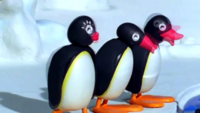 Pingu On The Disk 03