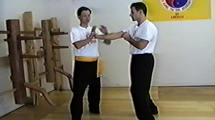 Wing Chun with Terence Yip Wooden Dummy Applications Part 3