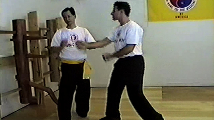 Wing Chun with Terence Yip Wooden Dummy Applications Part 7