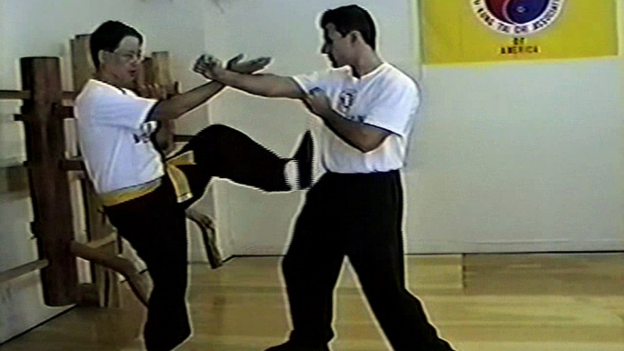 Wing Chun with Terence Yip Wooden Dummy Applications Part 8