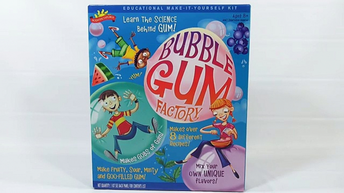 Bubble Gum Fory - Makes 8 Different Recipes, Scientific Explorer