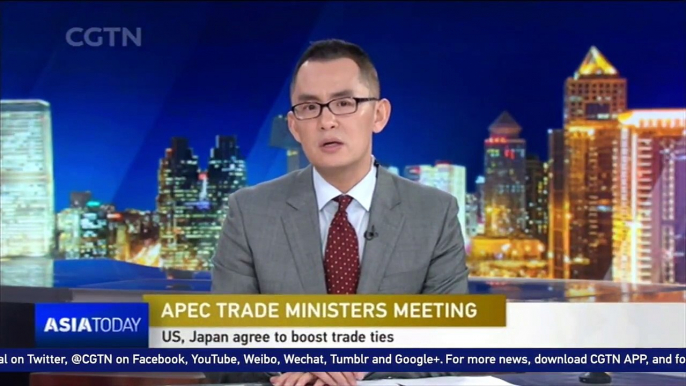 US, Japan agree to boost trade ties in APEC trade ministers meeting