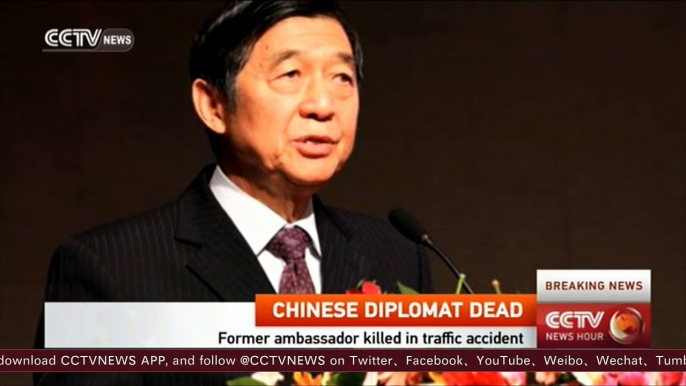 Chinese former ambassador killed in traffic accident