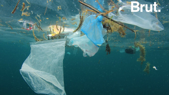 Le plus grand vortex de déchets