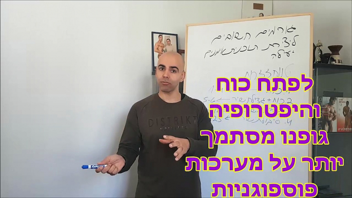 תוכנית אימונים לבניית הגוף, קובי עזרא פיתוח גוף, תוכנית אימונים למסה, לגדילה במסת השרירים, קובי עזרא פיתוח גוף