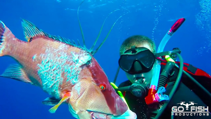 Glock-Fishing Underwater | 9mm Handgun Shooting Lionfish |Episode 1