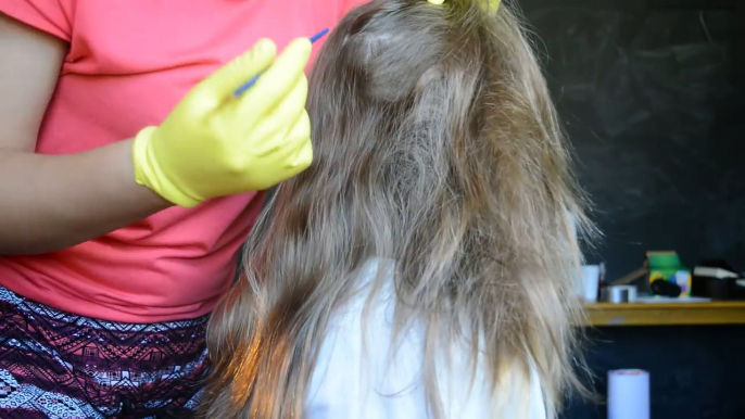 *REAL PERSON* ASMR Head and Scalp Exam (w/ Rubber Gloves, Spray Bottle, Hair Brush ex.)