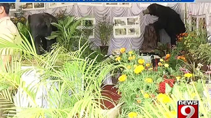 NEWS9: Cubbon Park, mini flower show awaits you