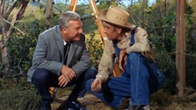 Green Acres S01E04