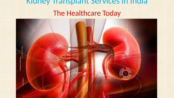 Kidney Transplant Services in India