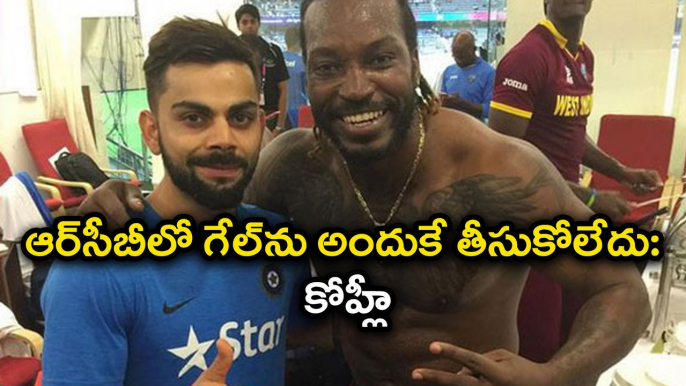 Virat Kohli Talks About RCB Not Retaining Chris Gayle