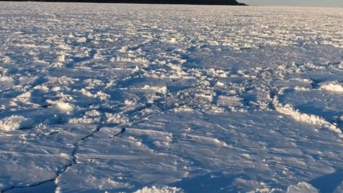 Stunning Drone Footage Shows Sea Ice Across North Atlantic