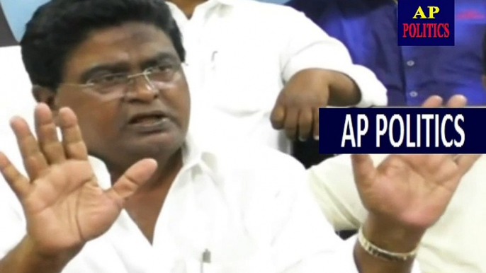 MLA Jaleel Khan Sensational Comments on YS Jagan, Ys Rajashekar Reddy, chiranjeevi, Pav -AP Politics