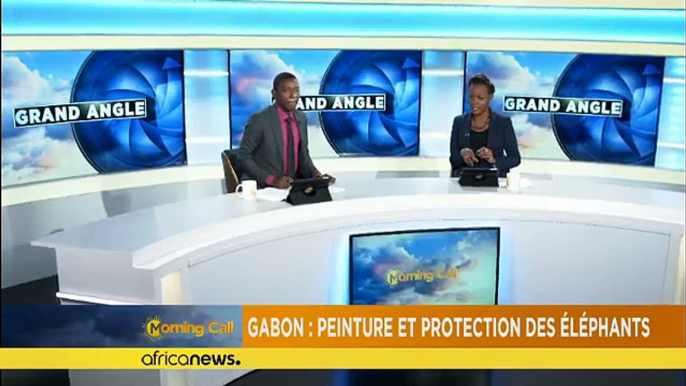 Gabon: Protecting elephants through paintings [The Morning Call]