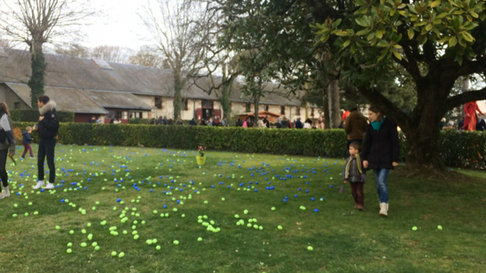 Une chasse aux œufs géante au haras