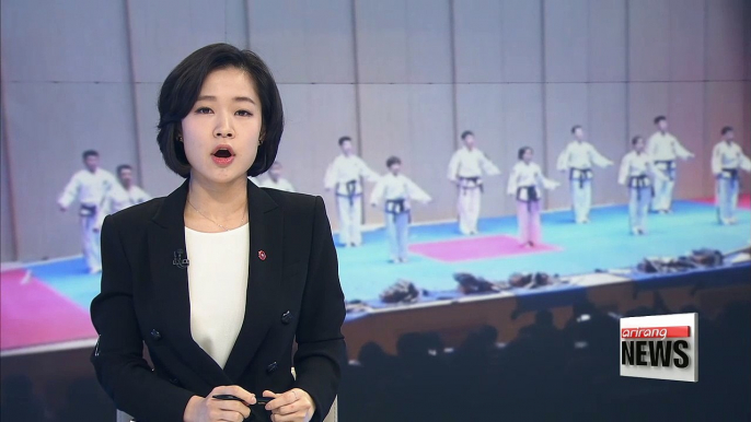 Joint taekwondo stage by South Korean and North Korean demonstrators