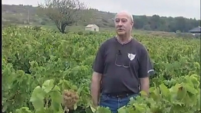 REPORTAGES : Vendanges, 3 questions à Raymond HOULES - 20 09 2006