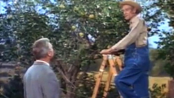 Green Acres S1 E04 - The Best Laid Plans