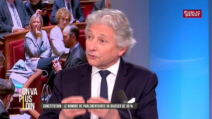 Dominique Rousseau : " L’Assemblée nationale, c’est (…) le député de la Nation toute entière. Il est élu dans sa circonscription mais il ne représente pas sa circonscription."