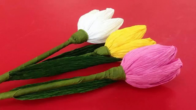 How to Make Tulip Crepe Paper Flowers - Flower Making of Crepe Paper - Paper Flower Tutorial