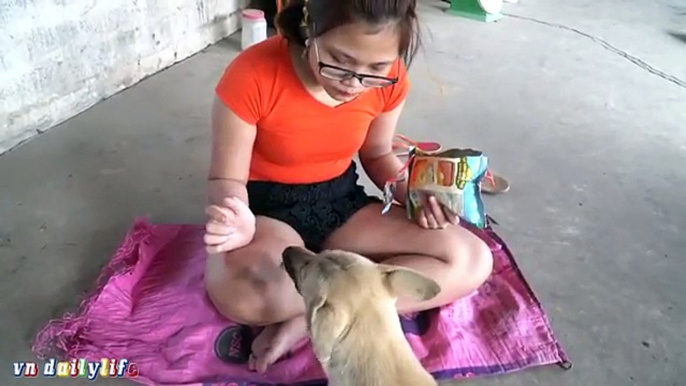 Lovely smart girl Playing Baby Cute Dogs On Rice Fields || How to play with dog & Feed bab