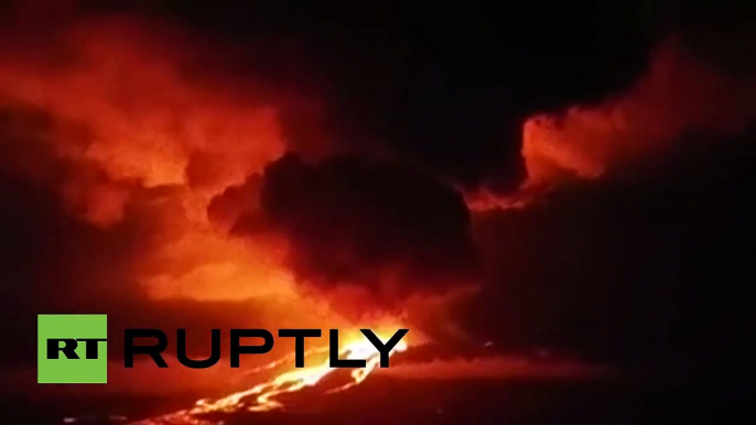 La erupción del volcán Wolf en las Galápagos pone en peligro a la población de iguanas rosadas