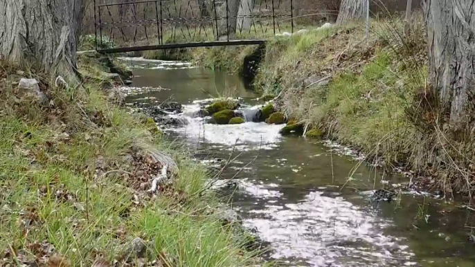 sonidos de la naturaleza / rios , pajarillos,paisajes /musica relajante/nature sounds.