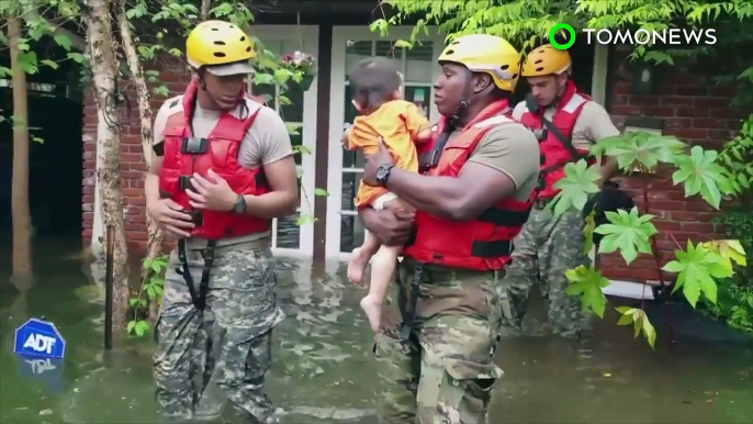 Inundaciones por Harvey: Bacteria Vibrio y serpientes podrían estar en el agua - TomoNews