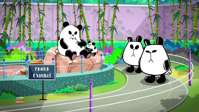 Love Fail | Panda A Panda Cartoons For Children | Kids Channel Videos