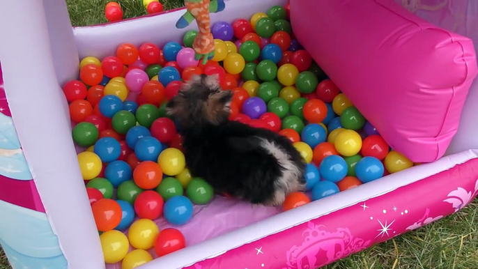 Princesa Zumi en una Piscina con +250 Bolas de Colores ❤ Juguetes para Cachorritos Disney Princesas