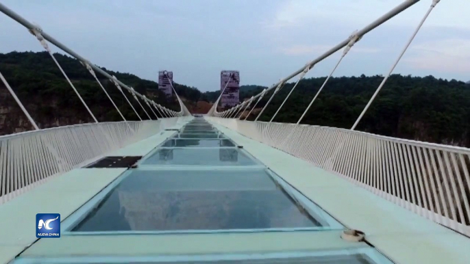 Desafía el puente de cristal en el Gran Cañón Zhangjiajie