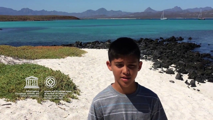 Luis #MyOceanPledge Islands and Protected Areas of the Gulf of California World Heritage marine site