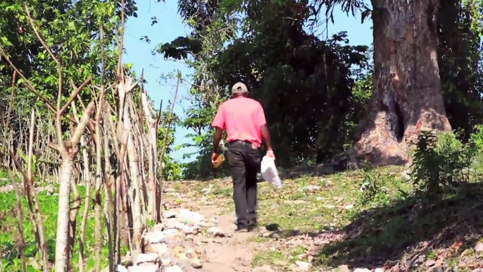 Mejorando la alimentación de los niños haitianos