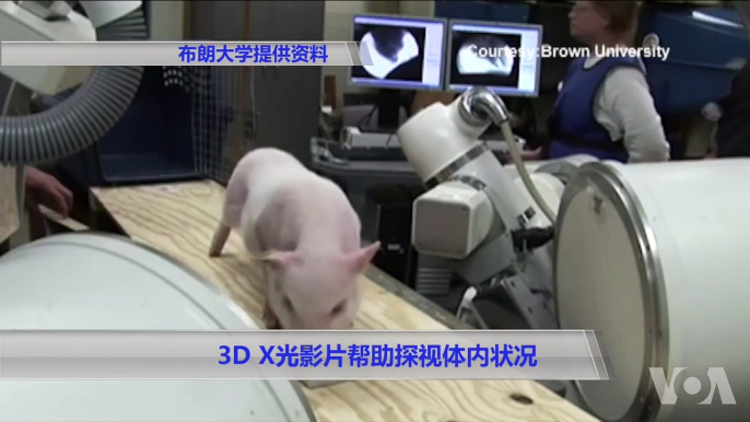 3D X光影片帮助探视体内状况