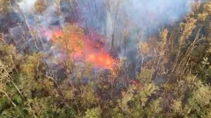 Lava Bursts 'High as Tree Tops' From New Fissure in Eruption-Hit Hawaii District