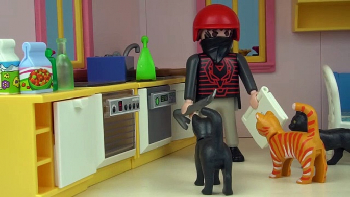 FAMILIE Bergmann #35 - GEFÄHRLICHE EINBRECHER mit Polizei EINSATZ - Playmobil Film deutsch