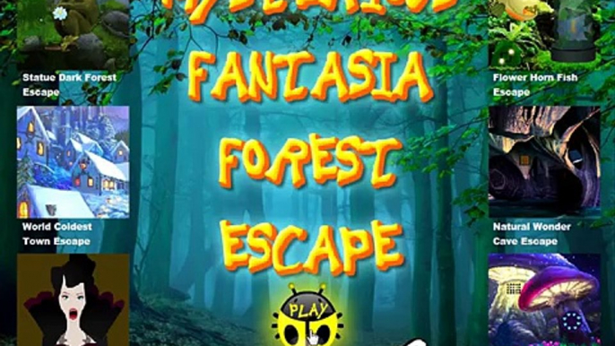 Mysterious Fantasia Forest Escape video walkthrough